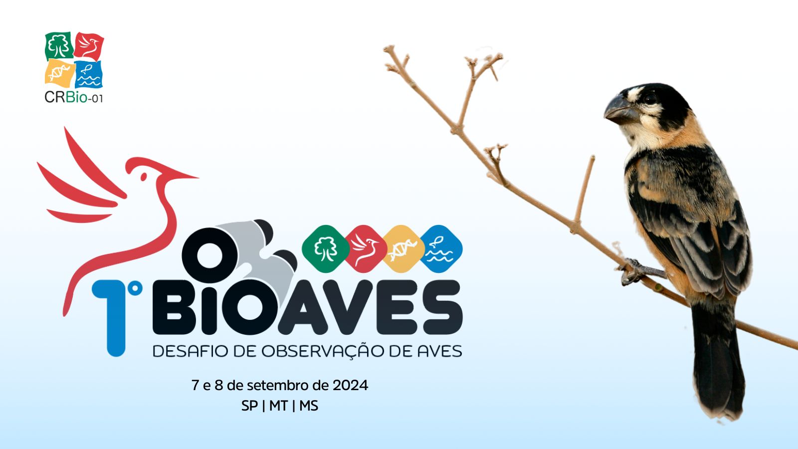 1º Bioaves - Desafio de observação de aves do CRBio-01