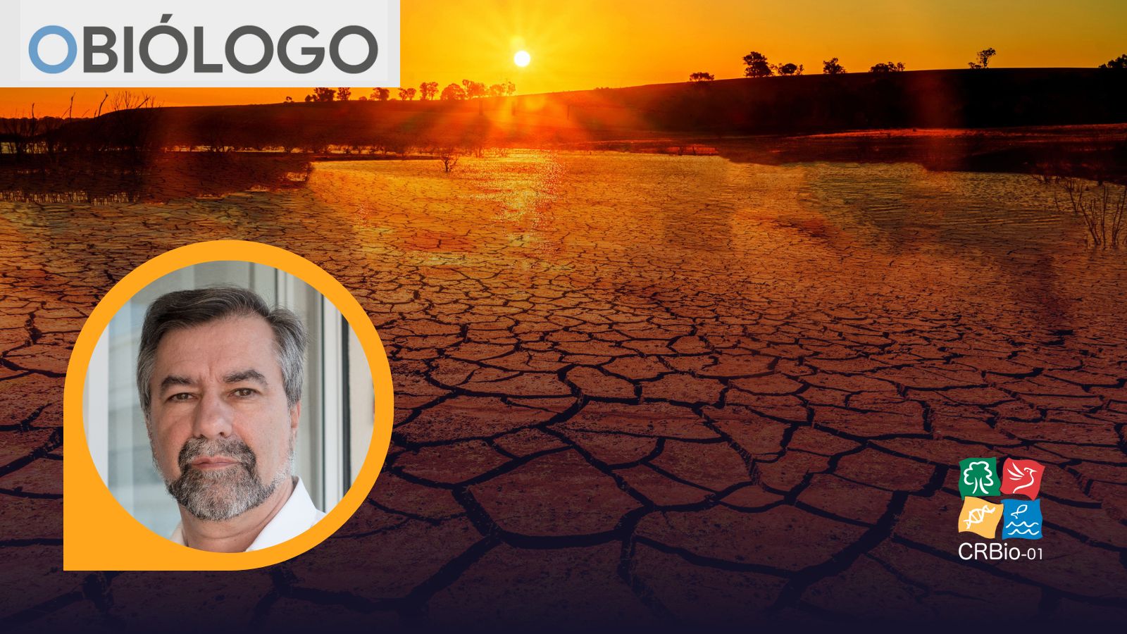 Prof. Dr. Paulo Artaxo: Brasil tem a chance de liderar mobilização global por uma sociedade mais justa na COP 30